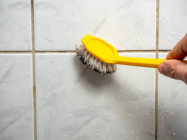 Best Residential Mold Remediation in Byron, IL